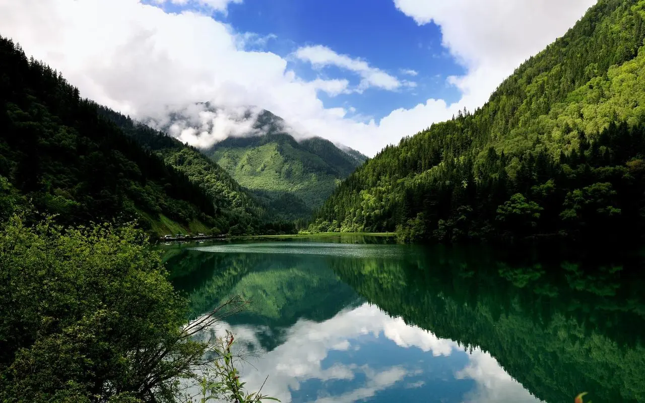 高端高效智能化